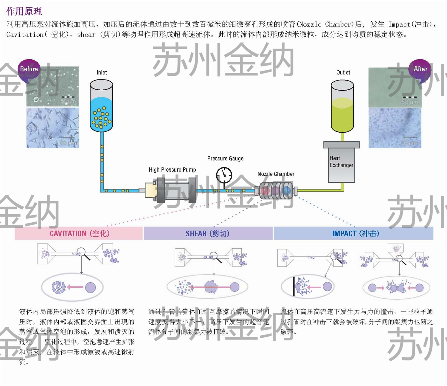 1648801456117094.png 图片1.png